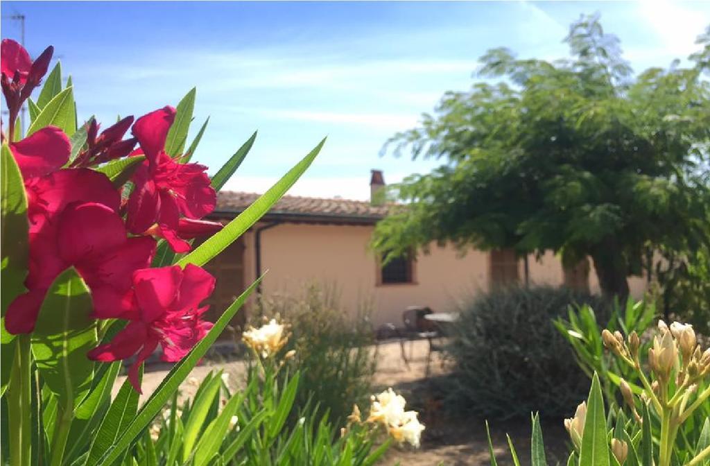Bio Agriturismo Le Cascatelle Сатурния Екстериор снимка